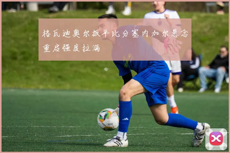 格瓦迪奥尔扳平比分塞内加尔悬念重启强度拉满