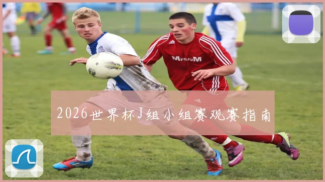 2026世界杯J组小组赛观赛指南