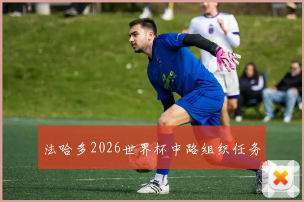 法哈多2026世界杯中路组织任务