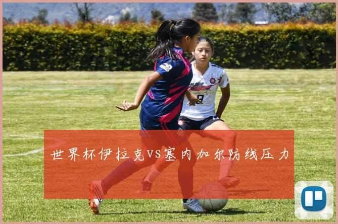 世界杯伊拉克vs塞内加尔防线压力