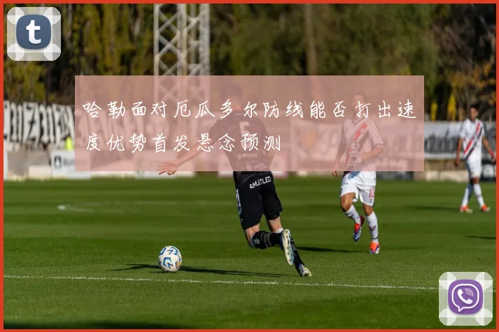 哈勒面对厄瓜多尔防线能否打出速度优势首发悬念预测