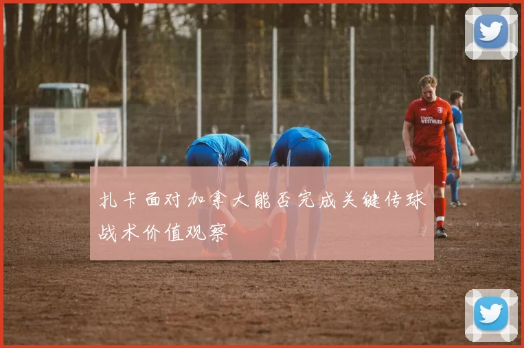 扎卡面对加拿大能否完成关键传球战术价值观察