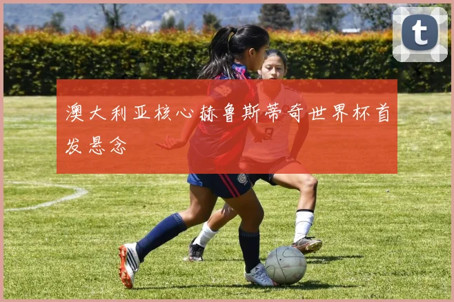 澳大利亚核心赫鲁斯蒂奇世界杯首发悬念