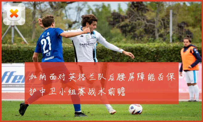 加纳面对英格兰队后腰屏障能否保护中卫小组赛战术前瞻